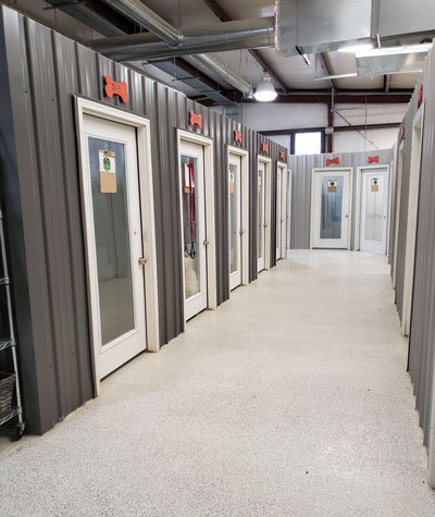 Bonesboro Dog Boarding Rooms